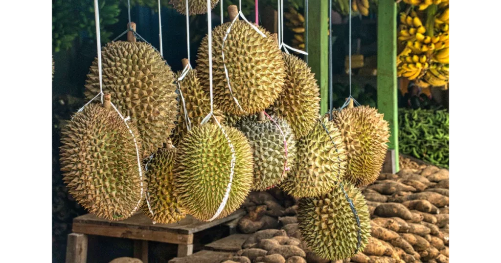 Durian Fruit.